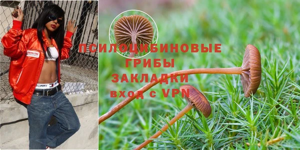 бошки Арсеньев